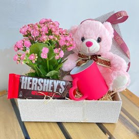 BOX ROSES AND TEDDY S/99.00